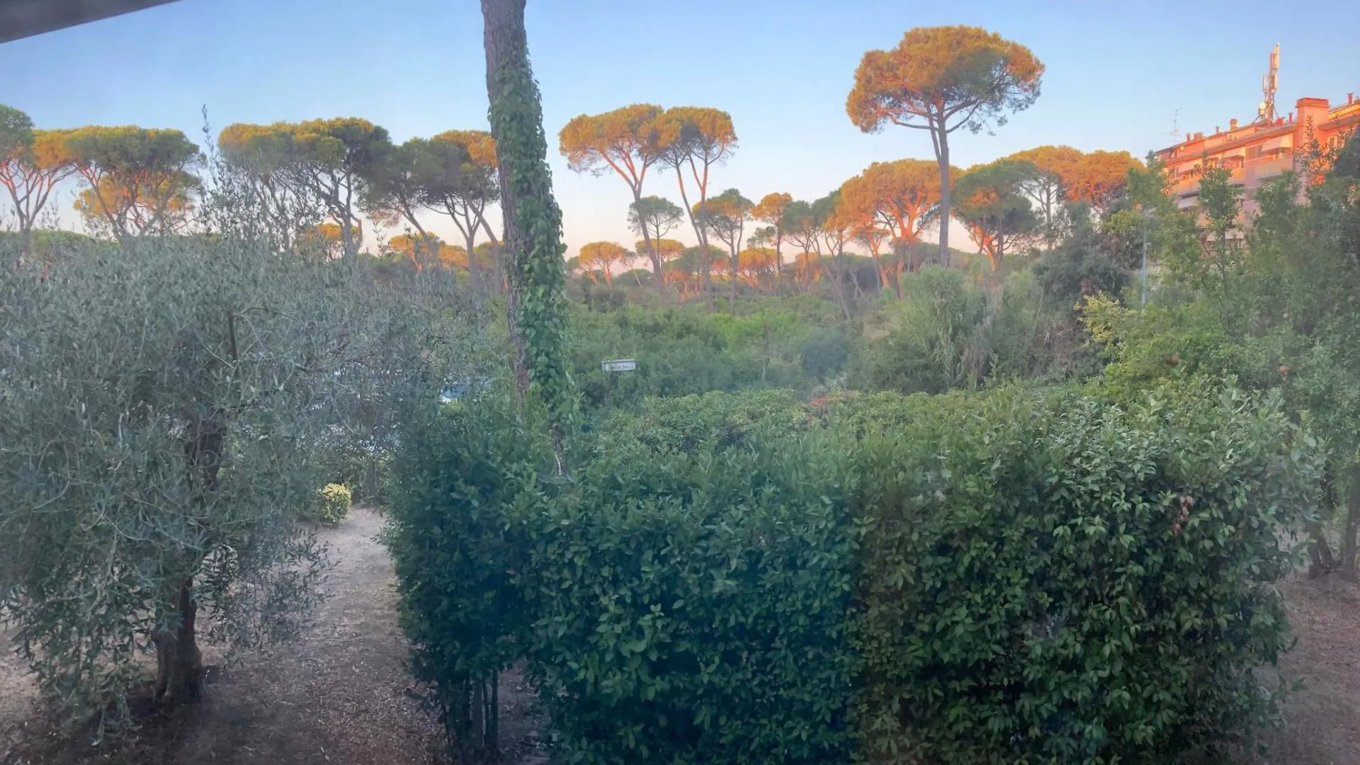 Hotel Grifone Principina a Mare